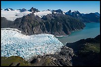 Aerial View of Holgate Glacier flowing into Holgate Arm. Kenai Fjords National Park ( color)