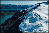 Aerial View of Harding Icefield above Aialik Bay. Kenai Fjords National Park ( color)