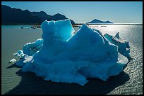 Aerial View of iceberg in Bear Glacier Lagoon. Kenai Fjords National Park ( color)