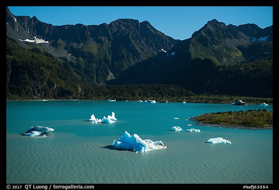 Aerial View of icebergs in Bear Glacier Lagoon. Kenai Fjords National Park (color)
