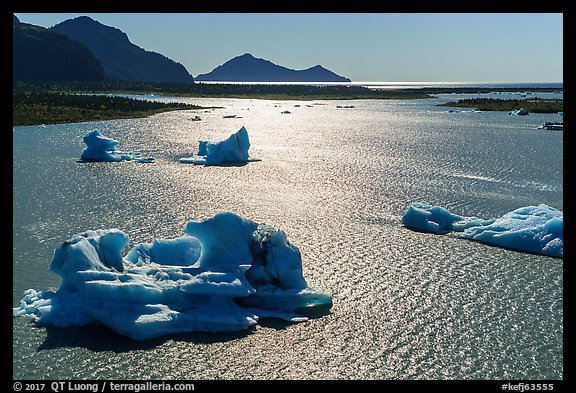 Aerial View of backlit icebergs in Bear Glacier Lagoon. Kenai Fjords National Park (color)