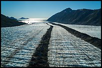 Aerial View of Bear Glacier and Resurrection Bay. Kenai Fjords National Park ( color)