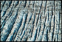 Aerial View of crevassed surface of Bear Glacier. Kenai Fjords National Park ( color)