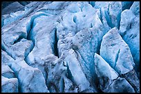 Crevasses on Exit Glacier. Kenai Fjords National Park ( color)