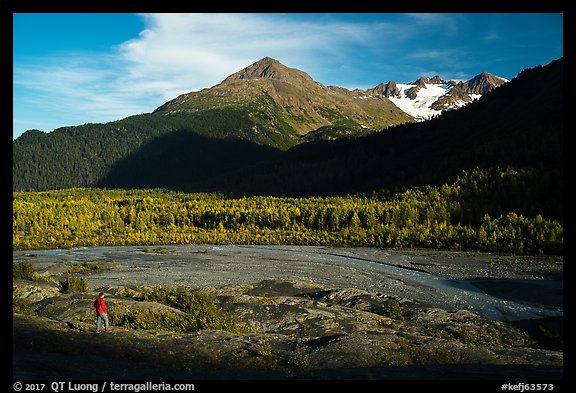 Visitor looking, Exit Glacier outwash plain. Kenai Fjords National Park, Alaska, USA.