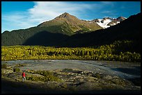 Visitor looking, Exit Glacier outwash plain. Kenai Fjords National Park, Alaska, USA.