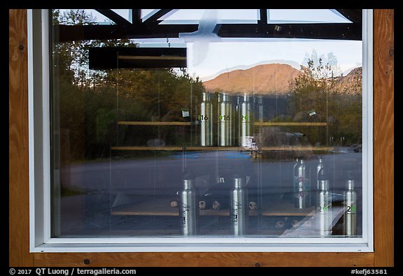 Exit Glacier Nature Center window reflexion. Kenai Fjords National Park (color)