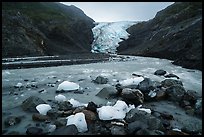 Icebergs and Exit Glacier, 2016. Kenai Fjords National Park ( color)