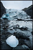 Iceberg, stream, Exit Glacier front, 2016. Kenai Fjords National Park ( color)