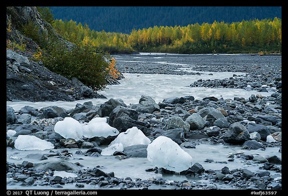 Icebergs and outwash plain in autumn. Kenai Fjords National Park, Alaska, USA.