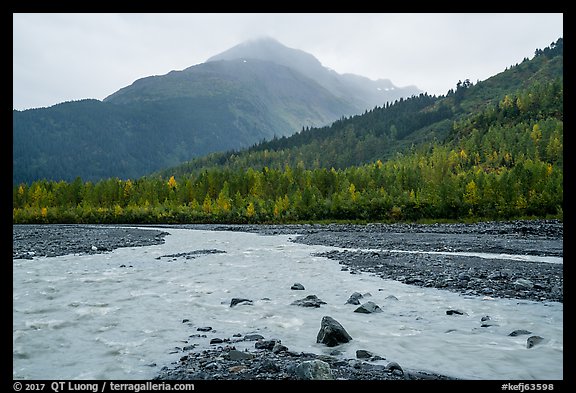 Streams on Exit Glacier outwash plain in the rain. Kenai Fjords National Park, Alaska, USA.
