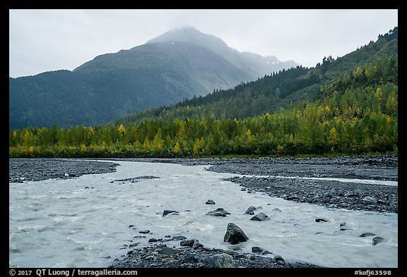 Streams on Exit Glacier outwash plain in the rain. Kenai Fjords National Park (color)