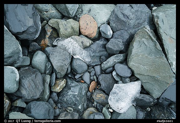 Close-up of rocks and icebergs, Exit Glacier outwash plain. Kenai Fjords National Park (color)