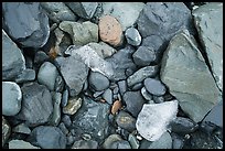 Close-up of rocks and icebergs, Exit Glacier outwash plain. Kenai Fjords National Park, Alaska, USA.