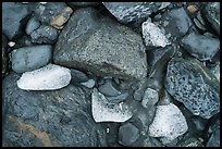 Close-up of rocks and icebergs near Exit Glacier. Kenai Fjords National Park, Alaska, USA.