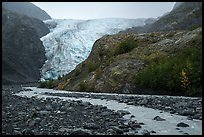 Exit Glacier viewed from glacial outwash plain. Kenai Fjords National Park ( color)