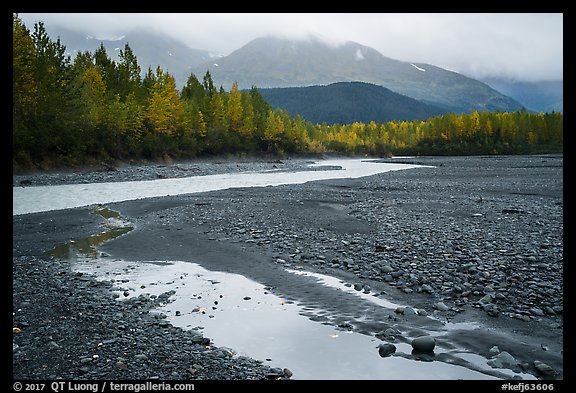 Stream and trees in autumn foliage, and mountains in the rain near Exit Glacier. Kenai Fjords National Park (color)