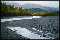 Stream and trees in autumn foliage, and mountains in the rain near Exit Glacier. Kenai Fjords National Park, Alaska, USA.