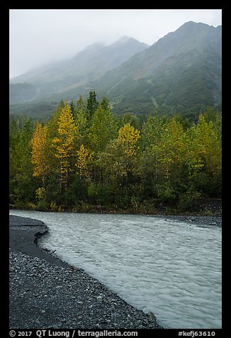 Stream, trees in autum foliage, and misty mountains. Kenai Fjords National Park (color)