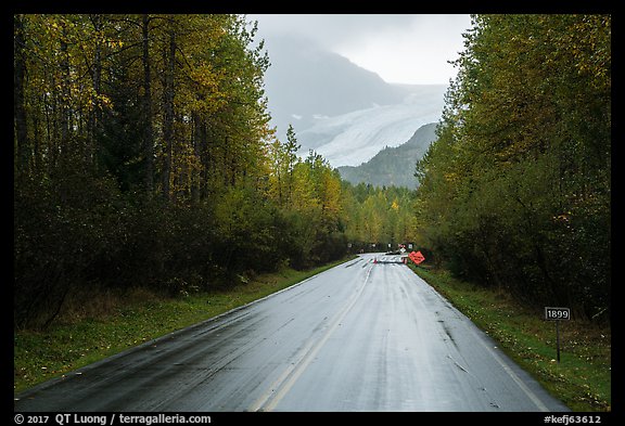 Exit Glacier Road. Kenai Fjords National Park, Alaska, USA.