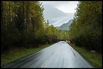 Exit Glacier Road. Kenai Fjords National Park, Alaska, USA.