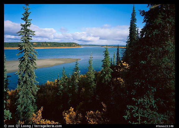 Bend of the Kobuk River, mid-morning. Kobuk Valley National Park (color)