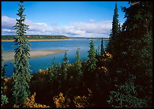 Bend of the Kobuk River, mid-morning. Kobuk Valley National Park, Alaska, USA.