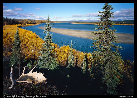 Antlers and bend of the Kobuk River, mid-morning. Kobuk Valley National Park, Alaska, USA.