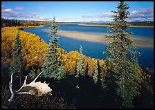 Antlers and bend of the Kobuk River, mid-morning. Kobuk Valley National Park, Alaska, USA.