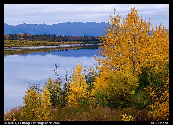 River, Warring Mountains, and fall colors at Onion Portage. Kobuk Valley National Park (color)