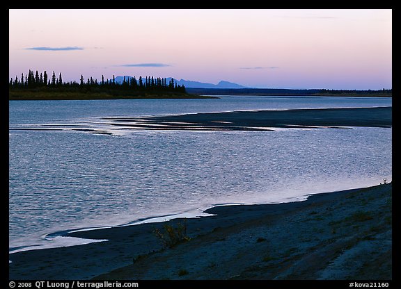 Sand bar shore, river, row of spruce trees,  and Baird mountains, evening. Kobuk Valley National Park (color)