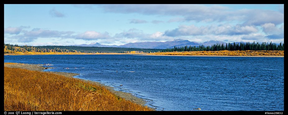 Wide river bordered by grassy banks. Kobuk Valley National Park (color)