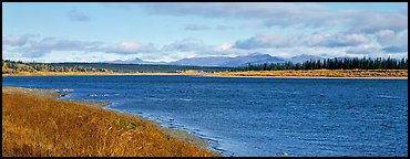 Wide river bordered by grassy banks. Kobuk Valley National Park (Panoramic color)