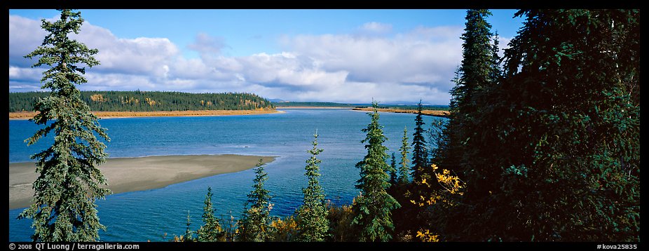 River landscape with forested riverbank. Kobuk Valley National Park (color)