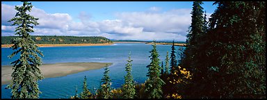 River landscape with forested riverbank. Kobuk Valley National Park (Panoramic color)