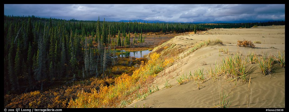 Sand dunes and boreal forest. Kobuk Valley National Park (color)