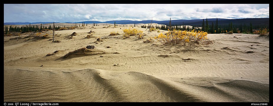 Arctic dune field. Kobuk Valley National Park (color)