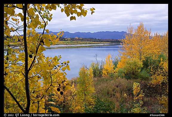 River, Warring Mountains, and fall colors at Onion Portage. Kobuk Valley National Park, Alaska, USA.