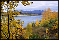 River, Warring Mountains, and fall colors at Onion Portage. Kobuk Valley National Park, Alaska, USA. (color)