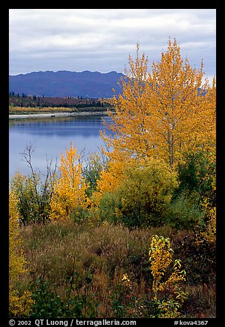 Kobuk River, Warring Mountains, and autumn colors, Onion Portage. Kobuk Valley National Park (color)