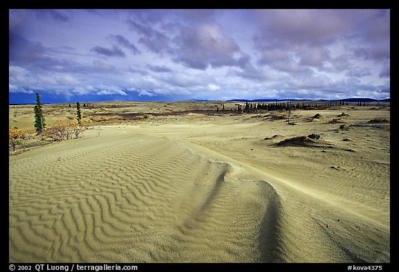 Ripples in the Great Sand Dunes. Kobuk Valley National Park (color)