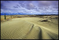 Ripples in the Great Sand Dunes. Kobuk Valley National Park, Alaska, USA.