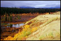 Edge of the Great Sand Dunes with tundra and taiga below. Kobuk Valley National Park, Alaska, USA.