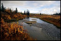 Kavet Creek, with the Great Sand Dunes in the background. Kobuk Valley National Park, Alaska, USA. (color)