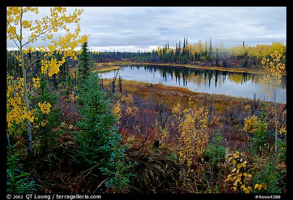 Pond near Kavet Creek. Kobuk Valley National Park (color)