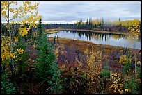 Pond near Kavet Creek. Kobuk Valley National Park, Alaska, USA.