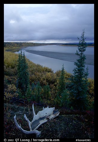 Antlers and bend of the Kobuk River, evening. Kobuk Valley National Park (color)