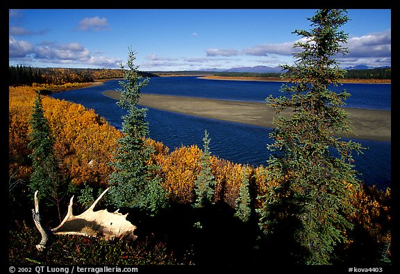 Antlers and bend of the Kobuk River, mid-morning. Kobuk Valley National Park (color)