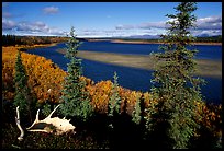 Antlers and bend of the Kobuk River, mid-morning. Kobuk Valley National Park, Alaska, USA.