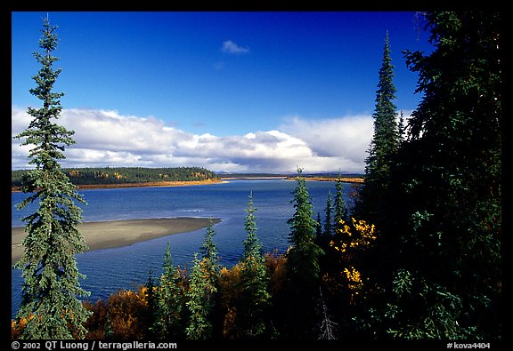 Bend of the Kobuk River, mid-morning. Kobuk Valley National Park (color)